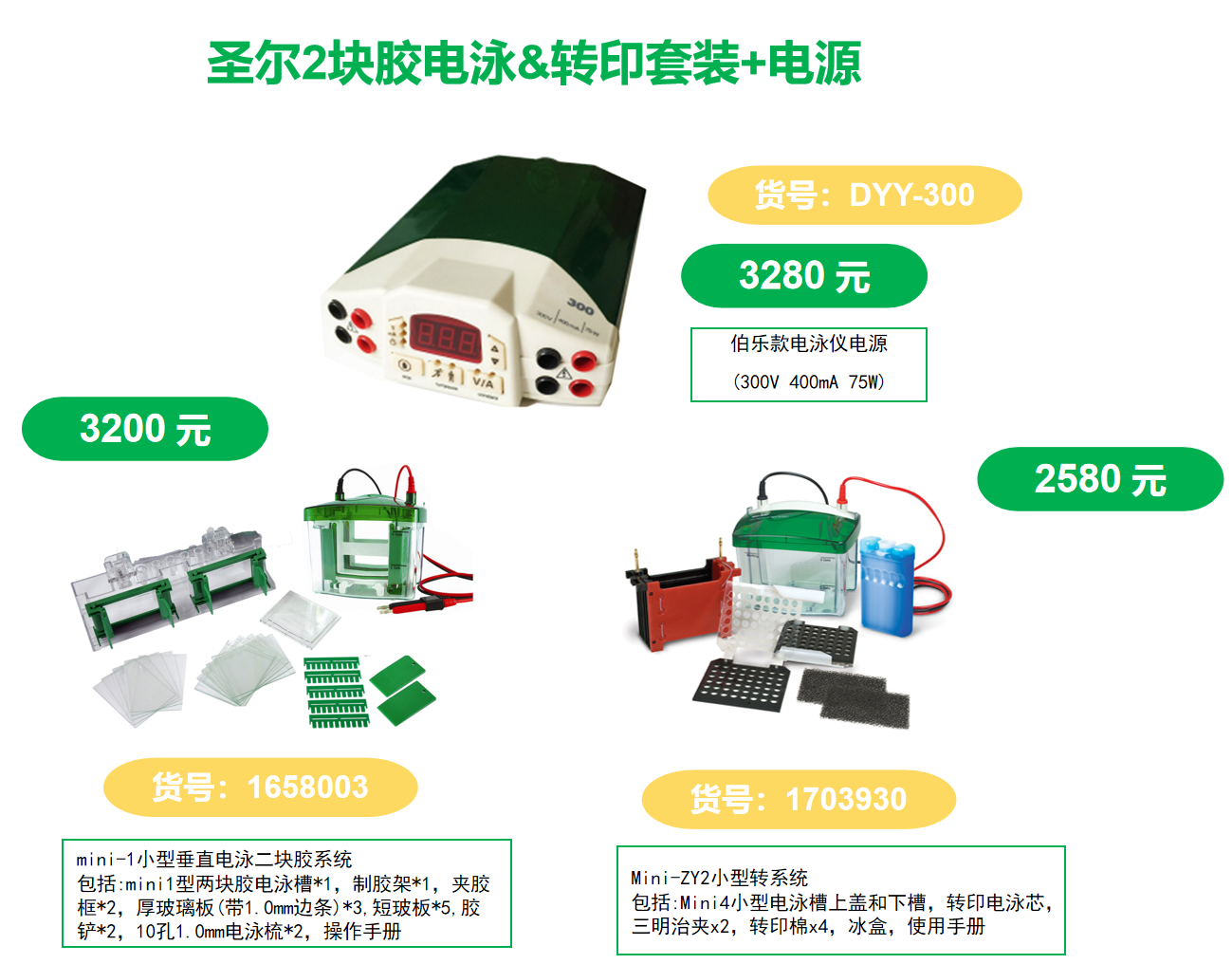 Mini-1小型垂直电泳二块胶电泳系统，1.0 mm, 含制胶系统 Tetra Cell